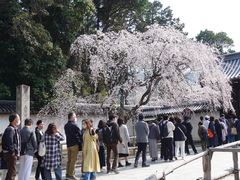 -醍醐寺