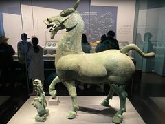 -广西壮族自治区博物馆