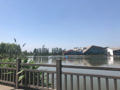 -上海长兴岛郊野公园