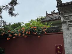 -西安市广仁寺
