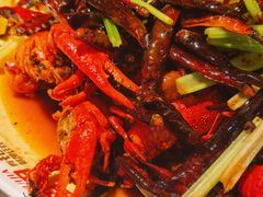 经典麻小蓝龙虾-红盔甲·小龙虾(天钥桥店)