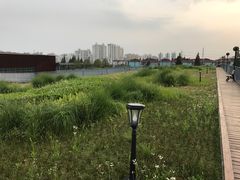 -中共上海市委党校 上海行政学院