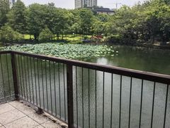 -深圳龙潭公园