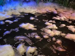 -美的鹭湖森林度假区