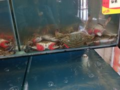 水产区-渔民船说·北塘海鲜·天津菜·海肠捞饭(北塘古镇店)
