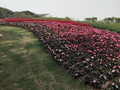 -东平国家森林公园