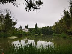 -昆山城市生态森林公园