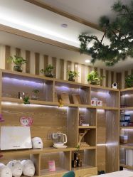 -芳朵美容养生SPA