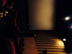 博纳国际影城-博纳国际影城(淄博店)