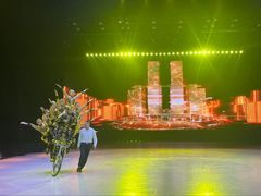 -重庆国际马戏城