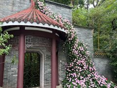 -深圳国际园林花卉博览园