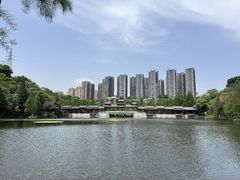 -重庆彩云湖湿地公园