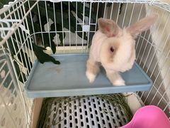 -小意思咖啡店(草桥店)