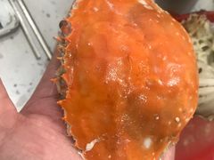-王潮活海鲜自助·蒸汽海鲜
