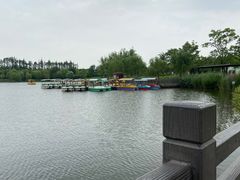 -上海长兴岛郊野公园