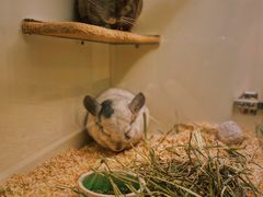 -龙猫仔乐园(惠福东路店)