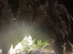 -怀托摩萤火虫洞