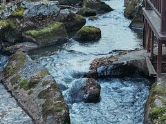 -汤旺河林海奇石景区