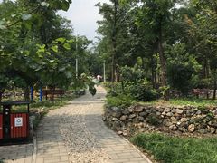 -阳台山自然风景区