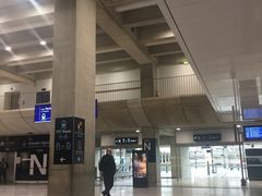 -戴高乐机场火车站