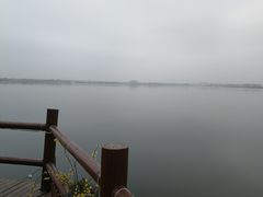 -鹅湖玫瑰文化园