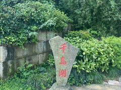 -千岛湖东南湖区