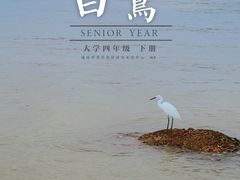-情侣路
