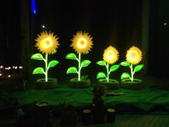 -枫花园汽车电影院(朝阳公园店)