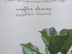 -red donkey coffee
