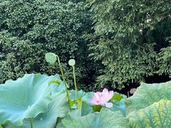 -苏堤停车场