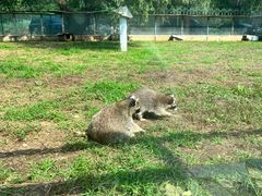 -秦皇岛野生动物园