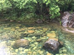 -石台牯牛降景区