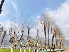 -滇池海埂公园