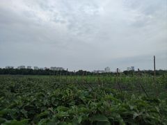 -汉长安城未央宫国家考古遗址公园