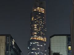 -紫峰大厦