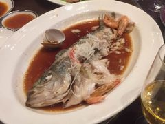 -君悦酒店·乐厨·高空自助餐(青年大街店)