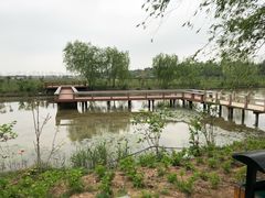 -漩门湾国家湿地公园