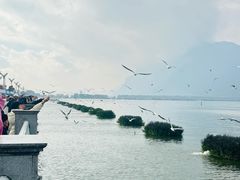 -海埂大坝