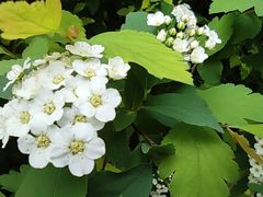 -西安市长乐公园