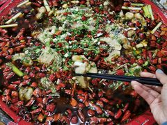 -东吴霸王兔(松青路店)