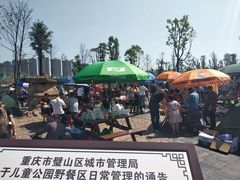 -枫香湖儿童公园