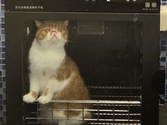 -瑞鹏宠物医院·内科·中兽医·骨科(苗圃店)