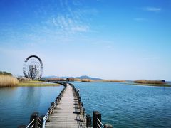 -太湖湖滨国家湿地公园-停车场