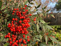 -傲泓度假酒店(河西奥体店)