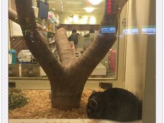 -龙猫仔乐园(惠福东路店)