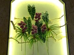 -大桶大足浴(广灵店)
