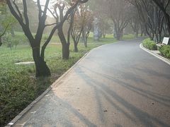 -石家庄市植物园