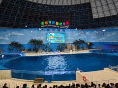 -泉城欧乐堡海洋极地世界