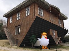 -金山农民画村-枫泾波兰倒置屋