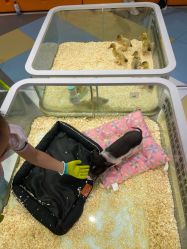 -meland亲子乐园•派对•研学(苏州悠方购物中心店)